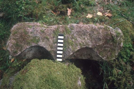 Gallery image 2