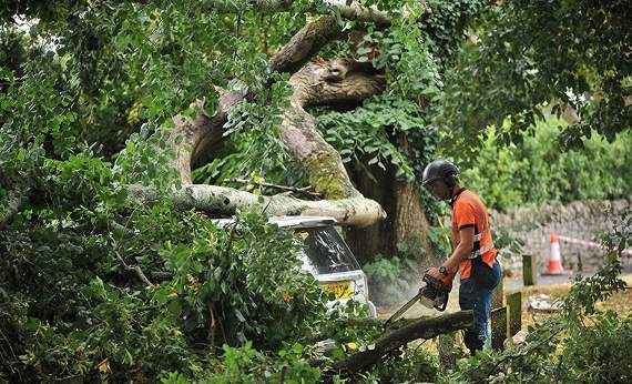 Tree-damaged vehicles in Forde Park. ©MDA090819A_SP001/StevePope