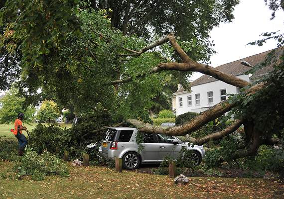 Tree-damaged vehicles in Forde Park. ©MDA090819A_SP003/StevePope