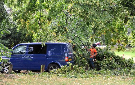 Tree-damaged vehicles in Forde Park. ©MDA090819A_SP006/StevePope