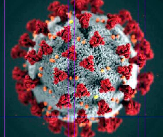 coronavirus