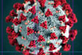 Devon 'remains on top of coronavirus' as cases remain low and still not linked to tourists