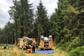 Haldon Forest gorse fire