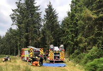 Haldon Forest gorse fire