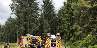 Haldon Forest gorse fire