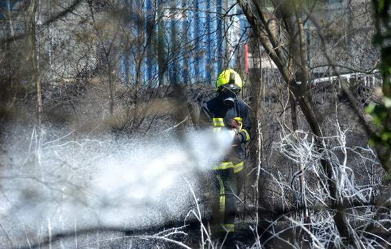 Firecrews tackle the blaze off the A382 at Heathfield ©MDA/StevePope