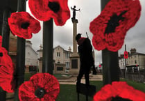 Knitted poppies adorn Newton's war memorial