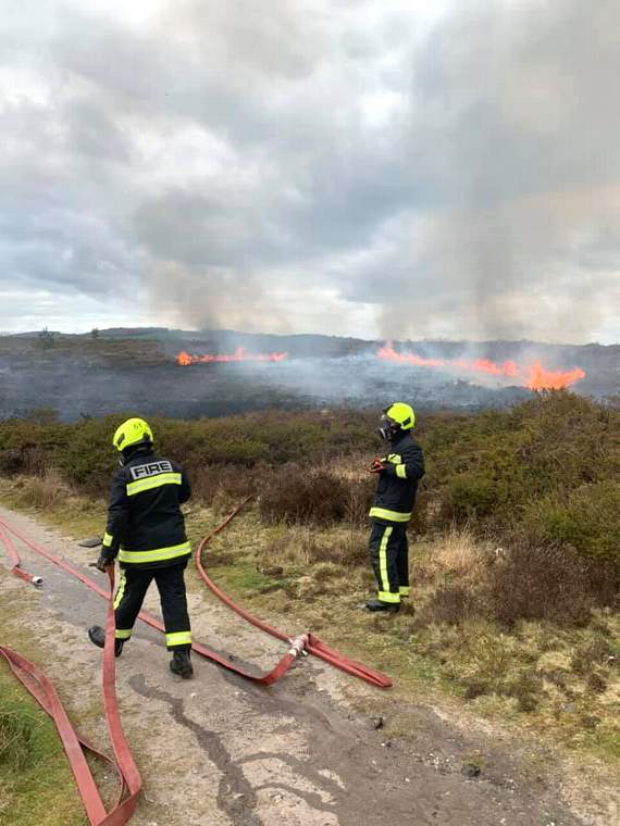 <p>2019 saw the most destruction in the UK – totalling 28,754 hectares burned by wildfires</p>
