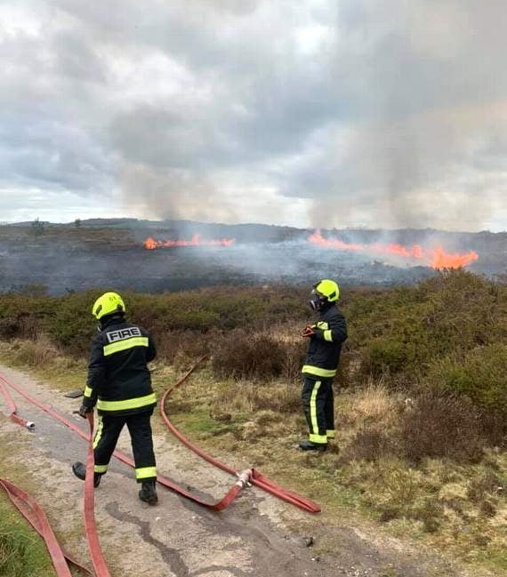 <p>2019 saw the most destruction in the UK – totalling 28,754 hectares burned by wildfires</p>