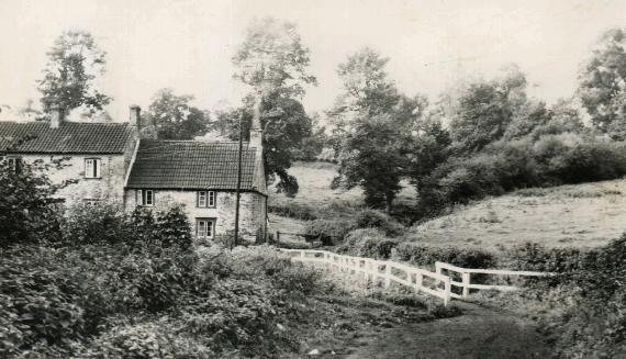 Last week, we were in Kilmersdon at 'Tumblers Bottom'.