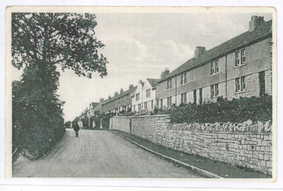 Can you guess the location of this week’s Mystery Photograph?