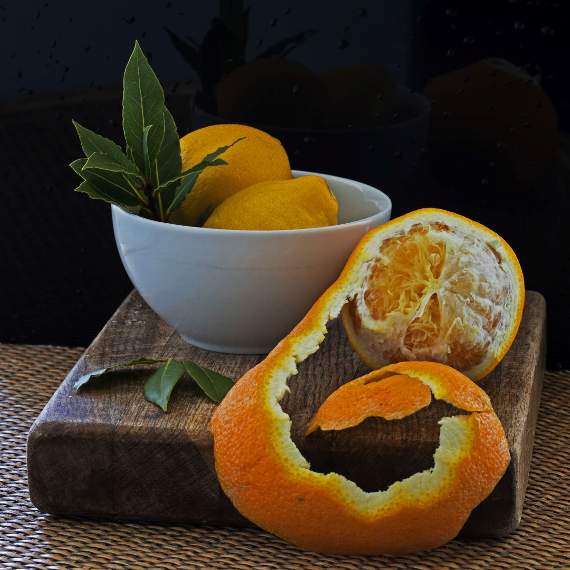 Jenny Short’s ‘Orange and Lemons’ won first place in the Colour Competition.