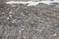 Jail for businessman who filled former quarry with dangerous waste