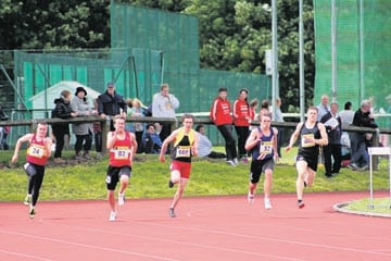 Gallery image 2
