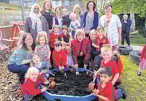 Busy Bees sow the seed