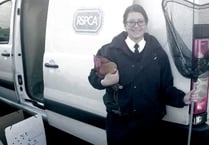 RSPCA officer ‘egged on’ to save stuck chickens