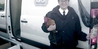 RSPCA officer ‘egged on’ to save stuck chickens