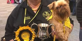 Crufts awards for therapy dogs
