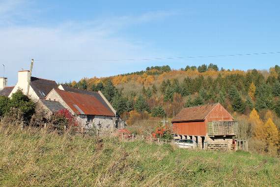 Gallery image 1
