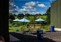 Distillery gears up for summer events now lockdown rules allow