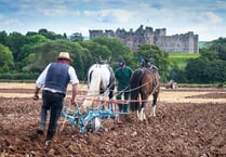 Llangattock ploughing match: ploughing in the shadow of Raglan's castle