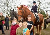 Traditional meet sees horses but no hounds