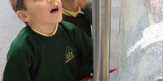 Petersfield infants school pupils enjoy a science day