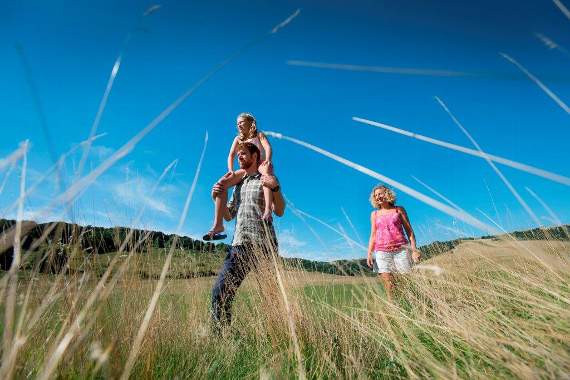 <p>Walkers enjoying Queen Elizabeth Country Park</p>