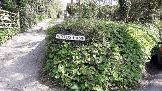 The pictueresque entry to the hamlet of Weston