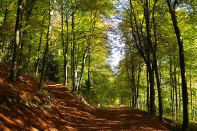 Country Park manager to say goodbye after 30 years 