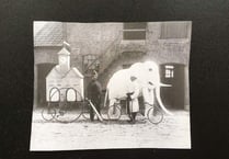 Chasing white elephants for the Ross-on-Wye Town Carnival