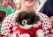 Ross residents take on Monmouth Santa Fun Run