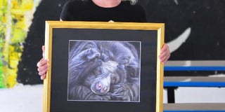 Local artist gives moon bears a voice