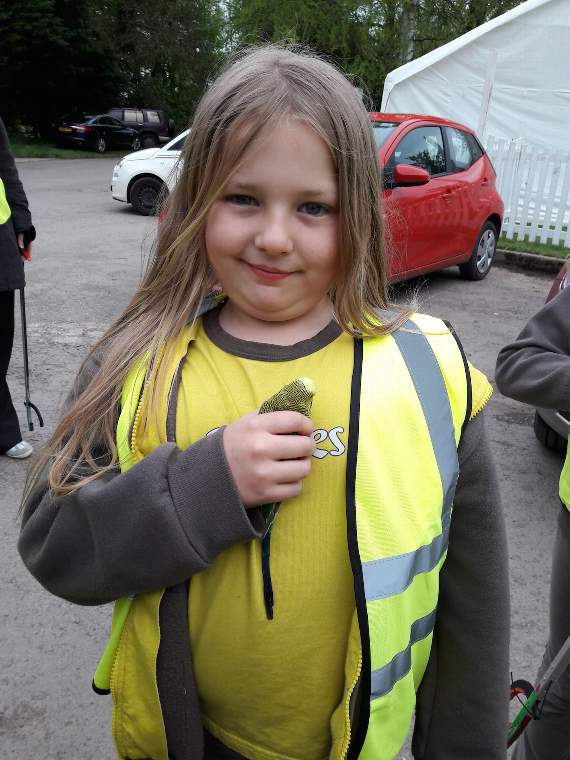 Brownies rescue lost budgie.