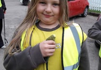 Brownies execute budgie rescue operation in Ross-on-Wye