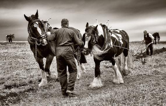 Ploughing