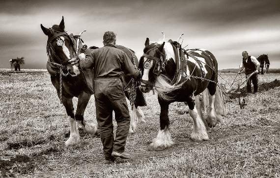 Ploughing