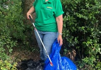 Wendy’s mammoth litter pick challenge begins
