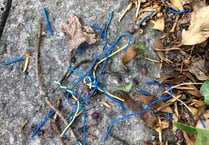 Tackling litter in Ross-on-Wye