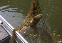 Concerns about illegal fishing on River Wye