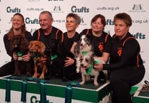 Top dog strikes silver at Crufts