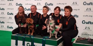 Top dog strikes silver at Crufts