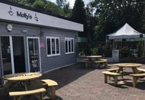 Great offer and a warm welcome at Molly's at Symonds Yat