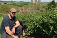 Ross farm buzzing thanks to supermarket's beehives