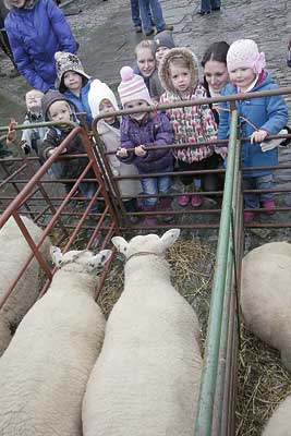 Children from Dartmouth Pre-school pick a winner