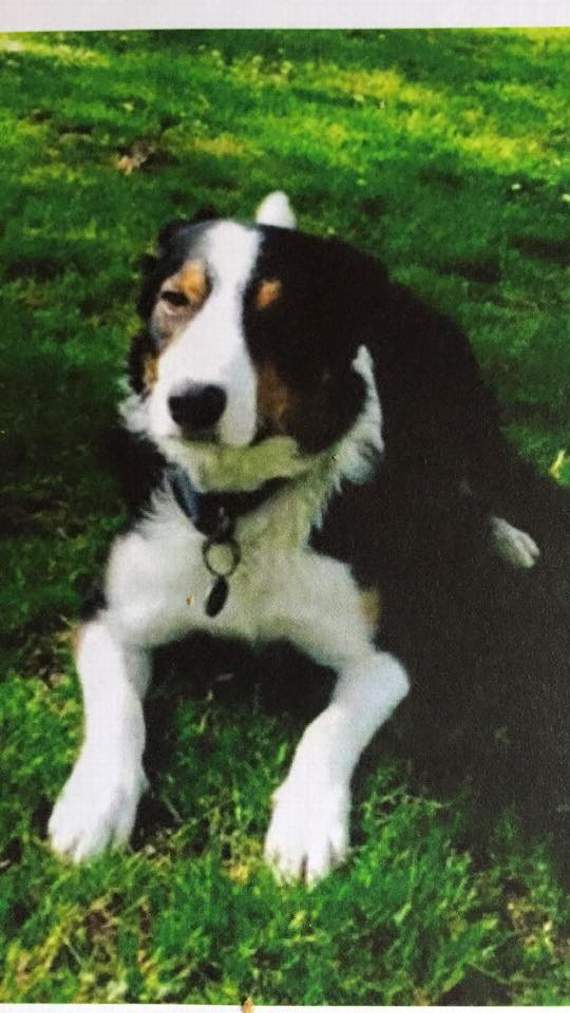 Alfie