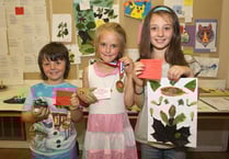 Diptford and District Show delivers the goods for another year as sun shines