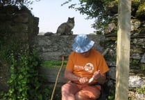 A question of stile - should accessibility trump aesthetics and heritage on Devon's country paths?