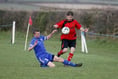 Fightback not quite enough for the Pirates