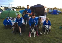 Performances through the woof as doggy members of Two Bridges Flyball Club ace first ever competition